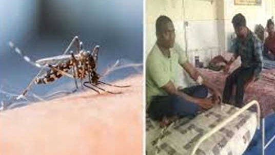 CG Rajnandgaon Gadchiroli Naxalite incident Morcha jawan clamor mine attack Abujhmad infected with malaria