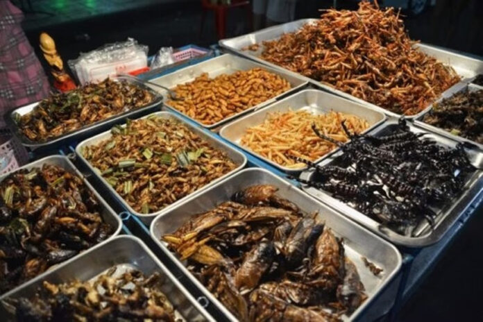 Foreign Singapore Food Items Eating Insects Government Permission SFA